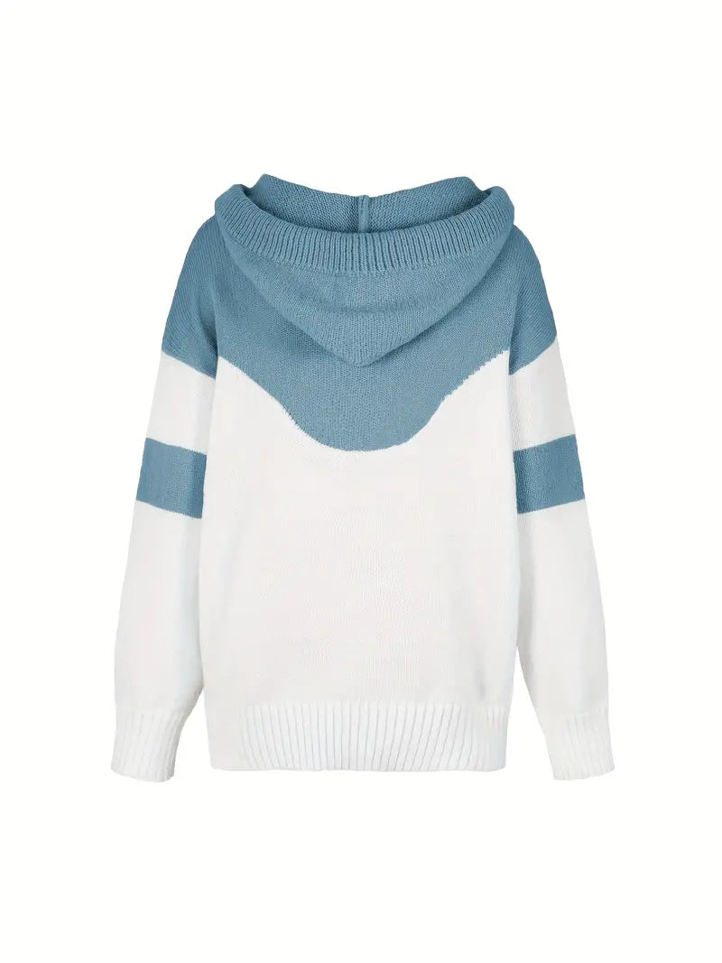 Rosä Farbig Block Sweatshirt mit Zuggummi und Kapuze